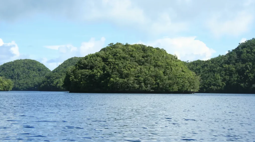 île recouverte de végétation dans l'océan pacifique